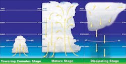 Ehstoday Com Sites Ehstoday com Files Uploads 2012 08 2 0812 Lightning Figure Ehstoday Com Sites Ehstoday com Files Uploads 2012 08 2 0812 Lightning Figure