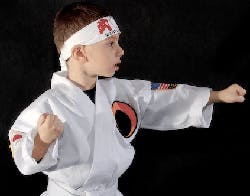 Ehstoday Com Sites Ehstoday com Files Uploads 2012 08 Karate