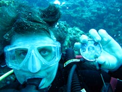 Ehstoday Com Sites Ehstoday com Files Uploads 2012 10 Total Safety Diving In Cozumel Ehstoday Com Sites Ehstoday com Files Uploads 2012 10 Total Safety Diving In Cozumel