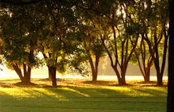 Ehstoday Com Sites Ehstoday com Files Uploads 2013 10 Imgsustainability Slider3 Ehstoday Com Sites Ehstoday com Files Uploads 2013 10 Imgsustainability Slider3