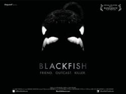 Ehstoday Com Sites Ehstoday com Files Uploads 2014 02 Blackfish