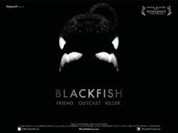 Ehstoday Com Sites Ehstoday com Files Uploads 2014 02 Blackfish Ehstoday Com Sites Ehstoday com Files Uploads 2014 02 Blackfish