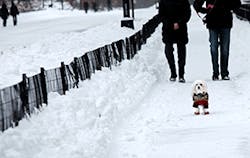 Ehstoday Com Sites Ehstoday com Files Uploads Winterpets Ehstoday Com Sites Ehstoday com Files Uploads Winterpets