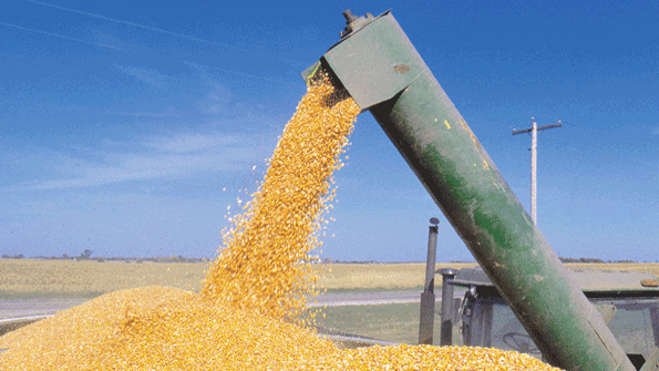 agricultural industry safety