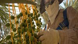 Pesticide exposure causes farm workers to suffer more chemicalrelated injuries and illnesses than any other work force in the nation Pesticide exposure causes farm workers to suffer more chemicalrelated injuries and illnesses than any other work force in the nation