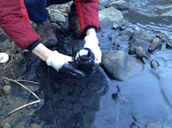 Water Quality Specialist Erin Savage takes samples at a coal slurry spill in Fields Creek Kanawha County WVa Photo by Matt Wasson Appalachian Voices Water Quality Specialist Erin Savage takes samples at a coal slurry spill in Fields Creek Kanawha County WVa Photo by Matt Wasson Appalachian Voices