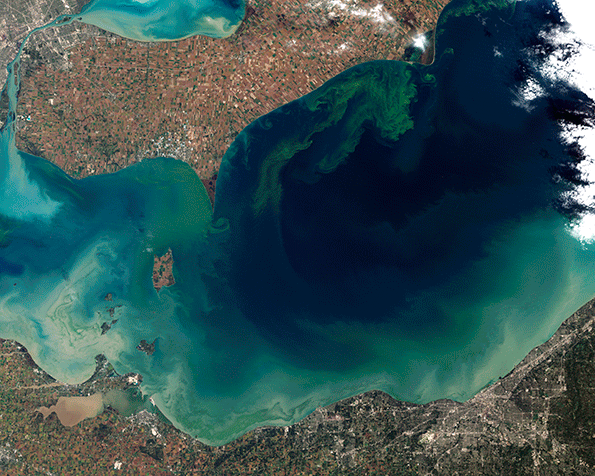 This image taken from space shows the algal bloom that rendered Toledo Ohio39s water undrinkable for two days This is the largest algal bloom ever recorded on Lake Erie