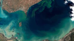 This image, taken from space, shows the algal bloom that rendered Toledo, Ohio&apos;s water undrinkable for two days. This is the largest algal bloom ever recorded on Lake Erie.