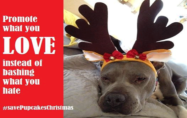 A bad Santa39s claim that a little girl39s service dog posed an occupational hazard was overruled by his employers and a viral campaign to savePupcakesChristmas