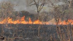 A 2014 international field campaign in South Africa&rsquo;s Kruger National Park validated several satellite fire detection products, including the new Suomi NPP 375-meter product.