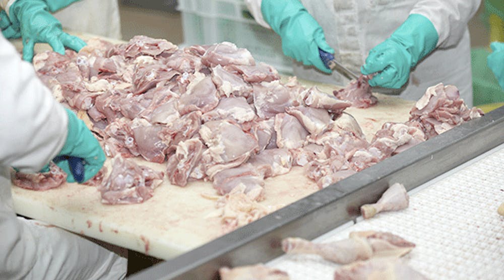 Case Farms Processing Inc. is a leading supplier of chicken to national fast food and supermarket brands. For employees, the dangers of amputation, electrocution and hazardous falls are all in a day&apos;s work, and part of their employer&apos;s long history of violating federal worker safety and health standards.