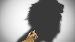 transformational leader transformational leader