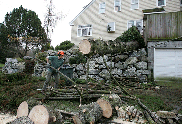 The contractor first removed a tree and repaired a chimney on the elderly victimrsquos Shoreline house in February 2013 After completing that work he kept offering to do more repairs on that home and a rental house in Seattle that the woman also owned