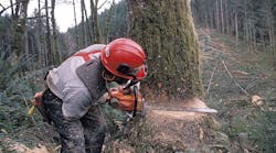 Ehstoday 2655 Forestry