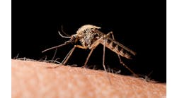 The first locally transmitted cases of Zika virus in the United States have been documented in Florida. Employers in the southeast U.S. are being warned to protect employees from mosquitoes.