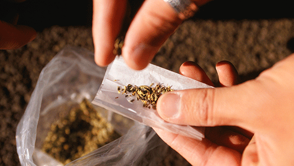 In the general US workforce the rate of amphetamine marijuana and heroin detection increased annually for the past five years in urine testing