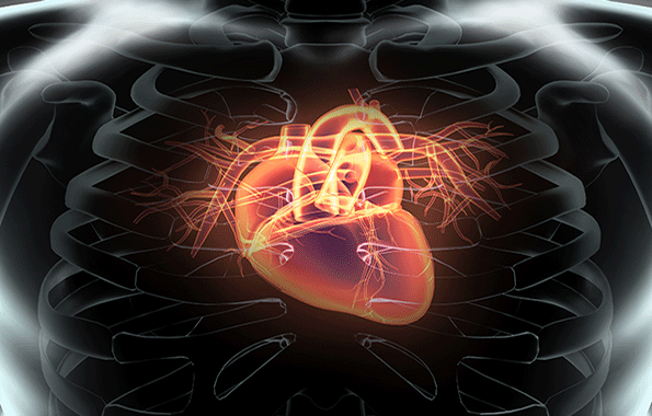 ldquoTodayrsquos AEDs couldnrsquot be easier to use ndash you open the box and the device talks you through the steps ndash yet despite this people are still hesitant to intervene when they witness someone experiencing a sudden cardiac arrest episoderdquo said Dr Joe Frassica