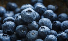 Ehstoday 2818 Blueberries