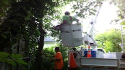 Tree trimmers need to be aware of the location of electrical wires when working in bucket trucks.