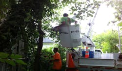 Tree trimmers need to be aware of the location of electrical wires when working in bucket trucks Tree trimmers need to be aware of the location of electrical wires when working in bucket trucks