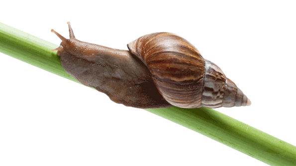 OSHA slow standards setting process