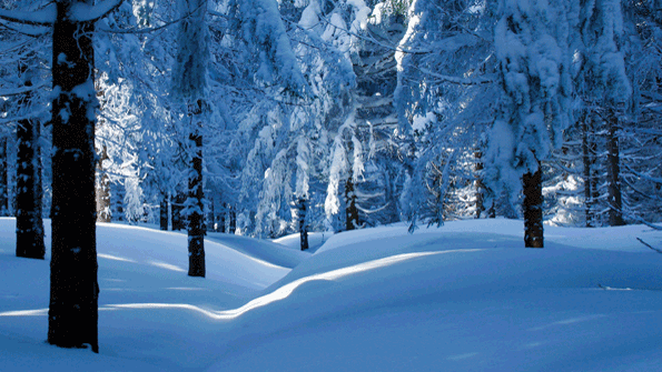 winter carbon monoxide risks