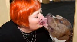 My dog Meatball provides me with stress release on a daily basis My dog Meatball provides me with stress release on a daily basis