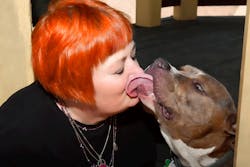 My dog Meatball provides me with stress release on a daily basis My dog Meatball provides me with stress release on a daily basis