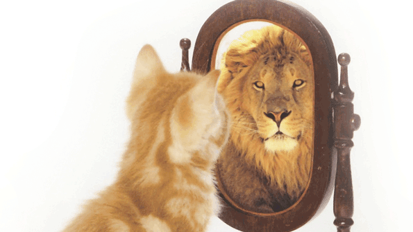 safety perceptions at work