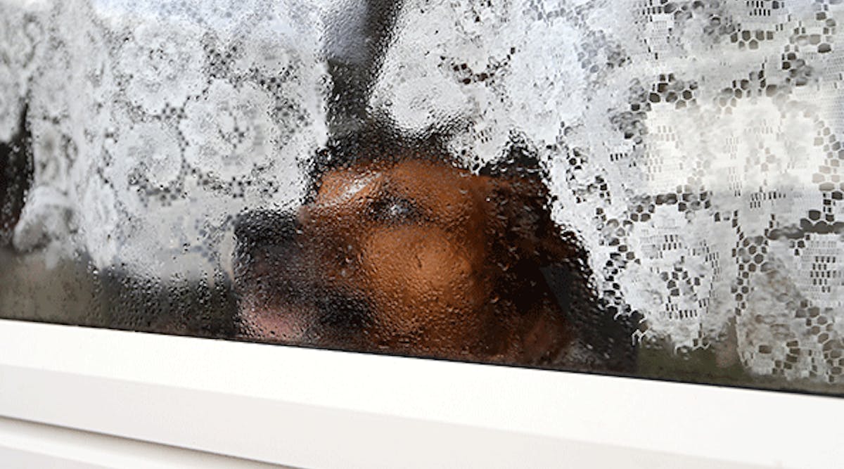 The scanners that letter carriers use to confirm a customer&rsquo;s delivery include a feature for carriers to indicate the presence of a dog at an individual address