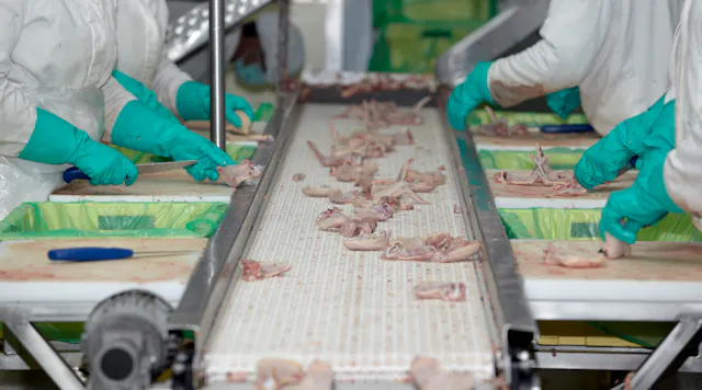 Poultry and Meat Processing Industries Rank High for Severe Injuries ...