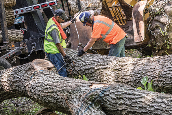 No Rest for the Wicking