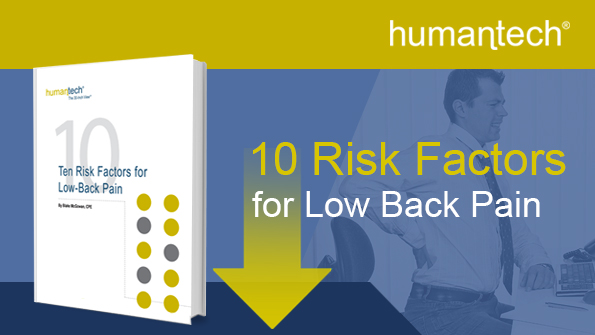 E-Book: Ten Risk Factors for Low-Back Pain