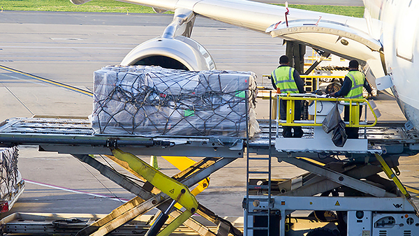 The Big Picture: Embracing a Sustainable Supply Chain