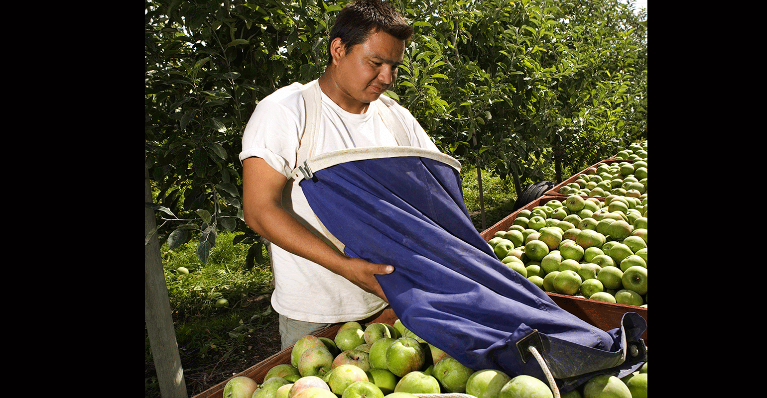 Injured Workers Arrested