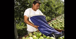 Injured Workers Arrested Injured Workers Arrested