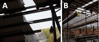 Skylight through which the victim fell with torn insulation (A); interior of the building (B). (Photo credit: Kentucky Occupational Safety and Health, Kentucky Labor Cabinet.)
