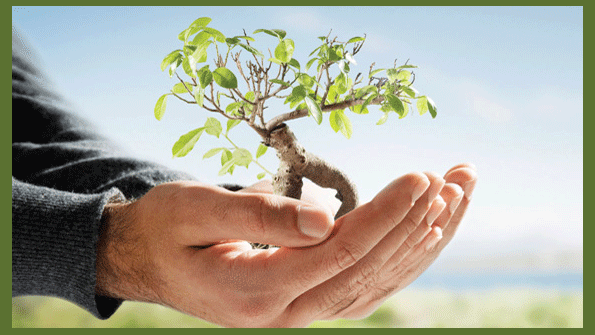 The Future of Product Sustainability