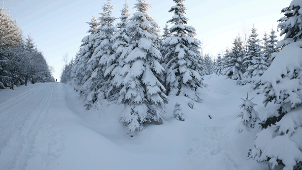 Winter driving offers special challenges Remember these safe driving tips from the Centers for Disease Control and Prevention and the American Industrial Hygiene Association