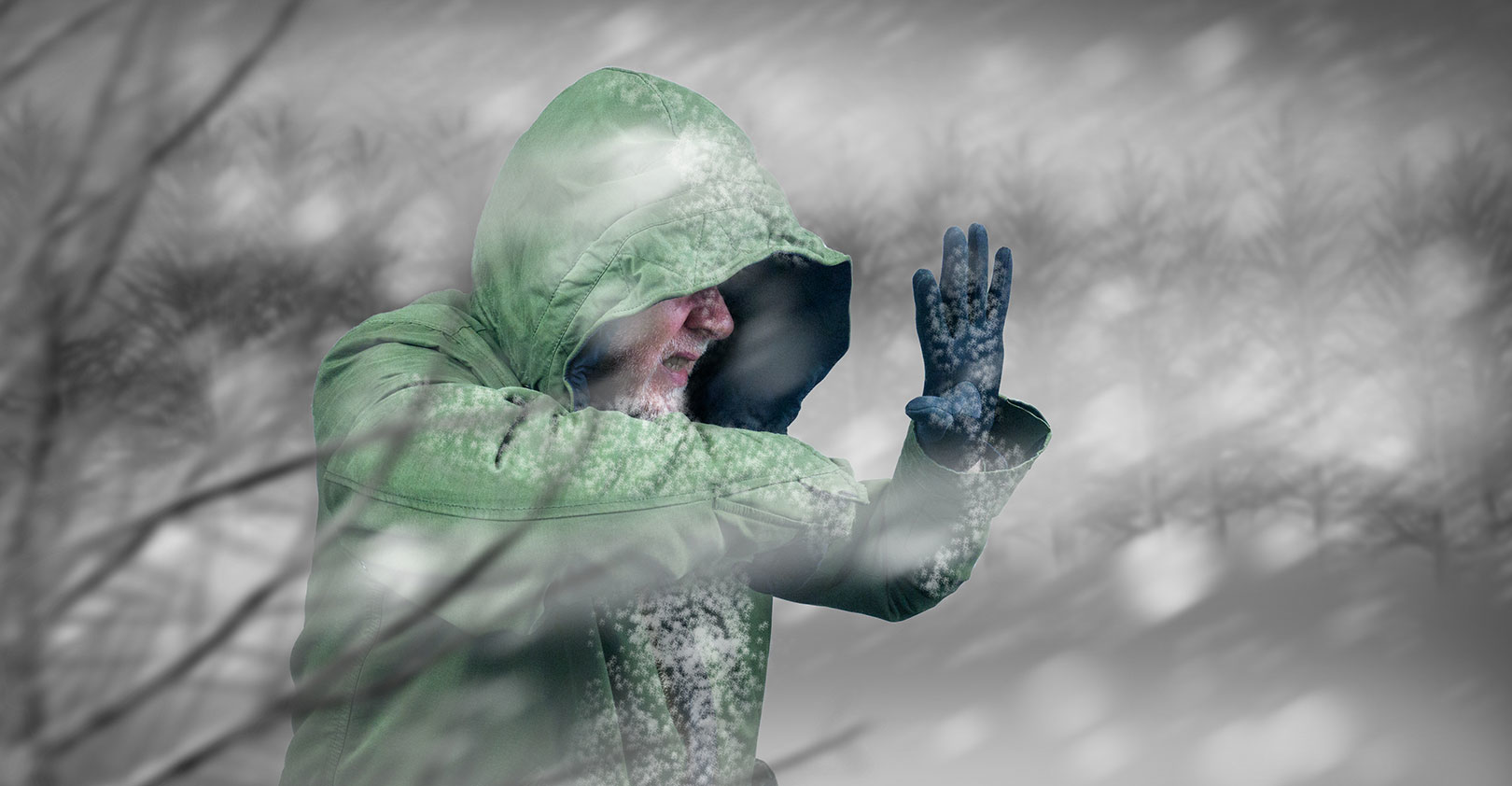 snow-promo-0118