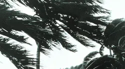 hurricane safety