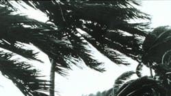 hurricane safety hurricane safety