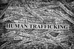 human trafficking human trafficking