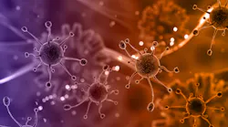 germs