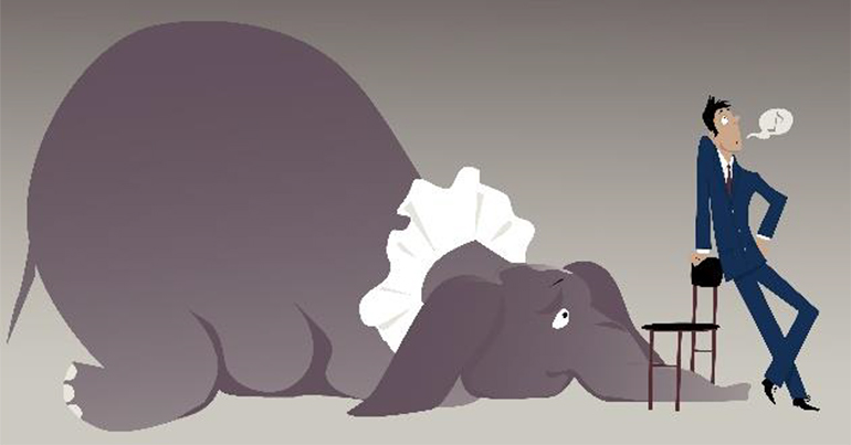 Ehstoday 9362 Mathis Elephant Image