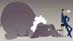 Mathis elephant image