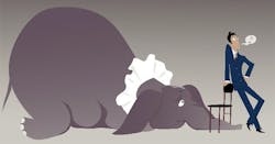 Mathis elephant image Mathis elephant image