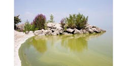 clean water clean water