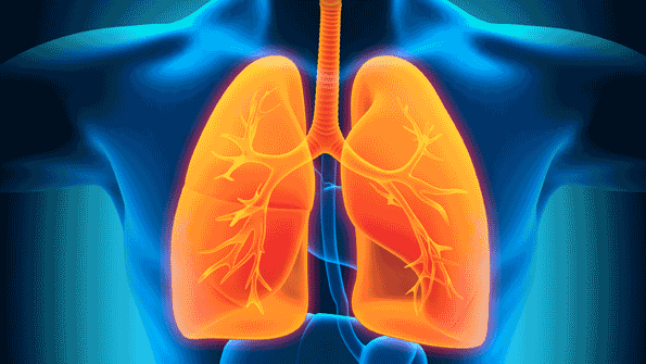 ldquoConfined Spaces Is 195 Percent Oxygen Really Saferdquo is another oldie but goodie this one from 1999 Expert John Rekusrsquo analysis of confined space standards and the widely accepted opinion that 195 percent oxygen is ldquosaferdquo has been read and shared by thousands of people over the years and in 2013 12500 additional people read it