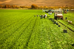 Californiaworkerfarmer 5e09f0a1d2332 Californiaworkerfarmer 5e09f0a1d2332